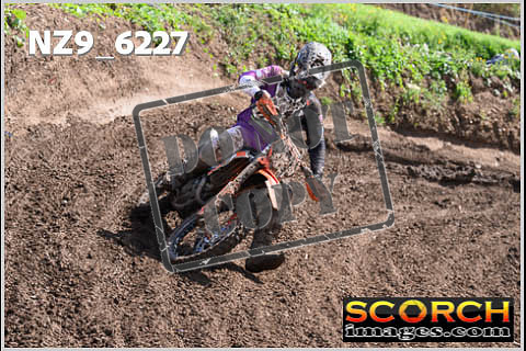 Experts-484