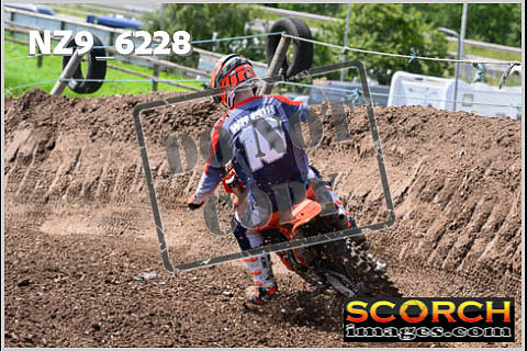 Experts-485