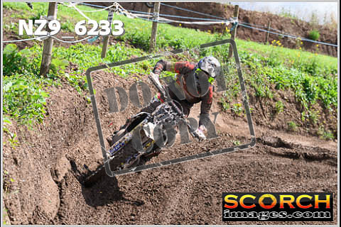 Experts-490