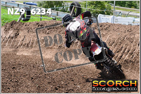 Experts-491