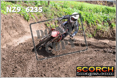 Experts-492