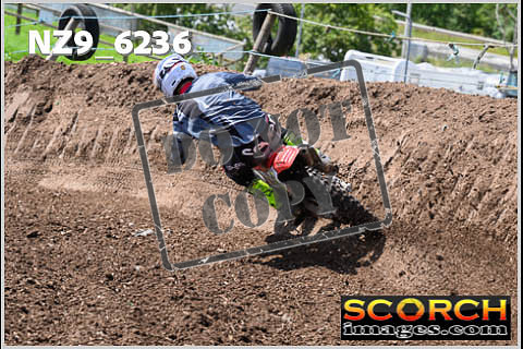 Experts-493