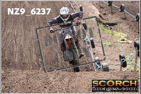 Experts-494