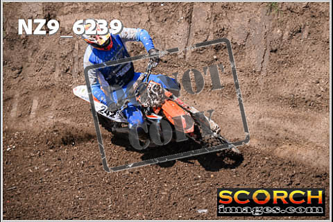 Experts-496
