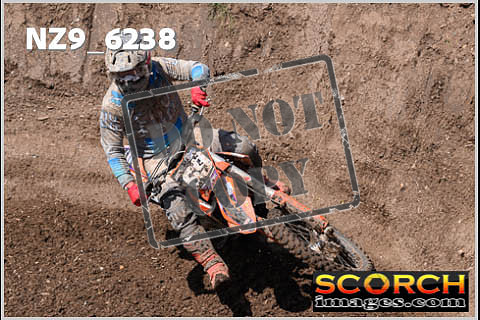 Experts-495