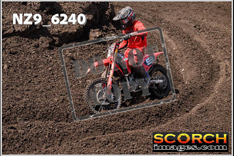 Experts-497