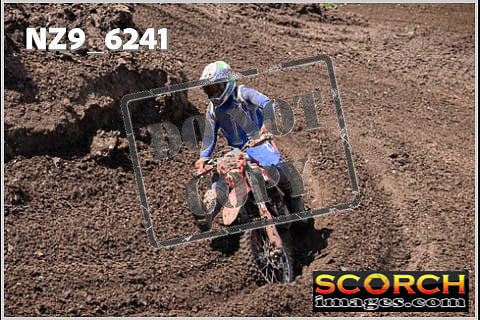 Experts-498