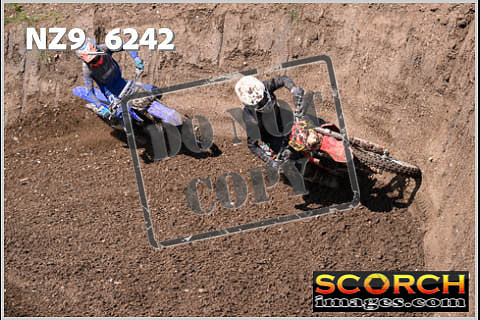 Experts-499