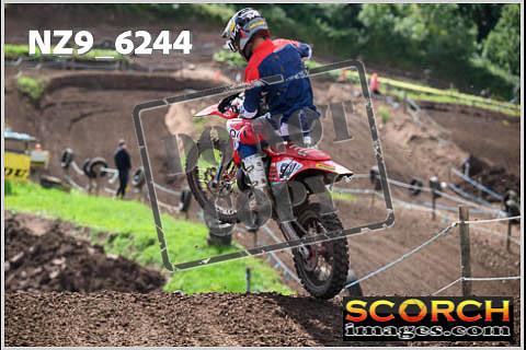 Experts-501