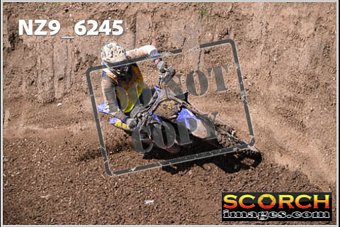 Experts-502