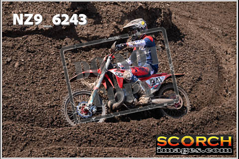 Experts-500