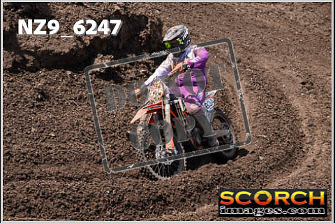 Experts-504