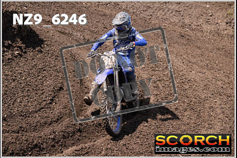Experts-503
