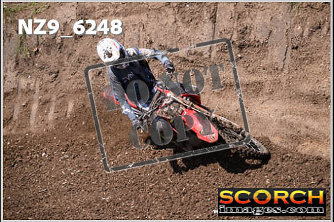 Experts-505