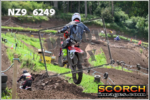 Experts-506