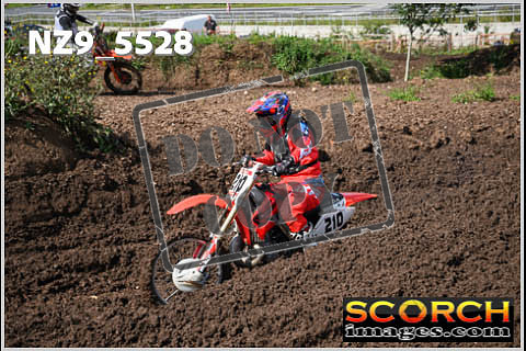 Inters GreenOrange-058
