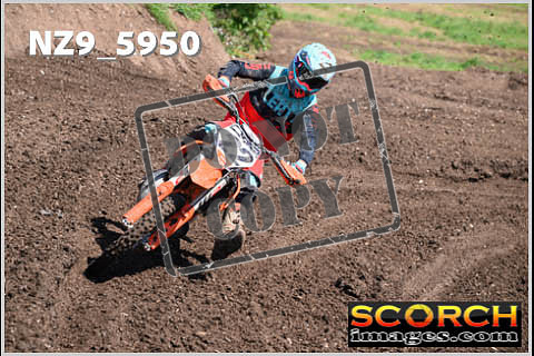 Inters GreenOrange-107