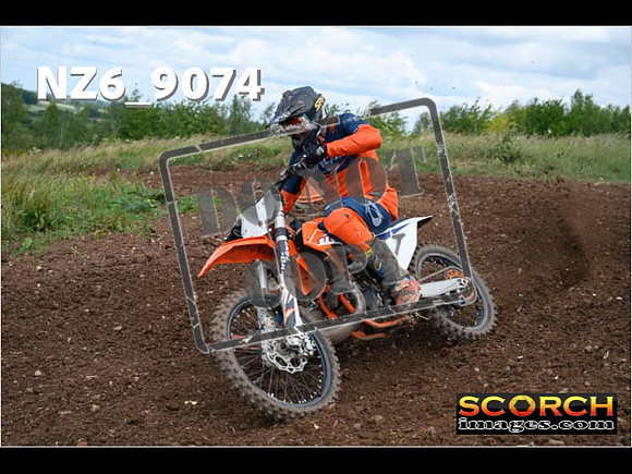 Experts-139