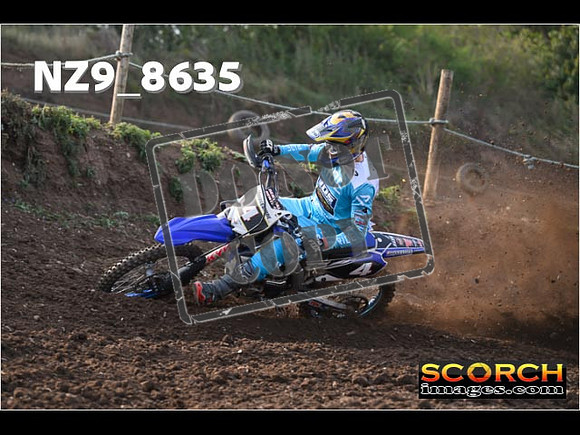 Experts-043
