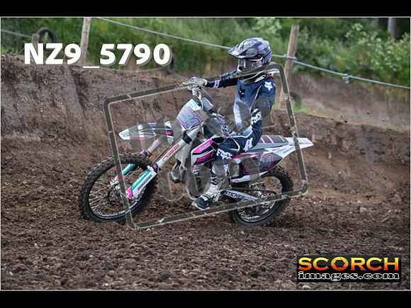 Experts-047