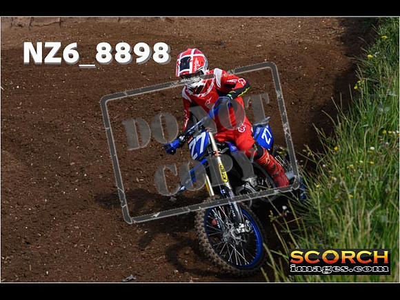 IntersGreen-057