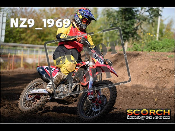Experts-312
