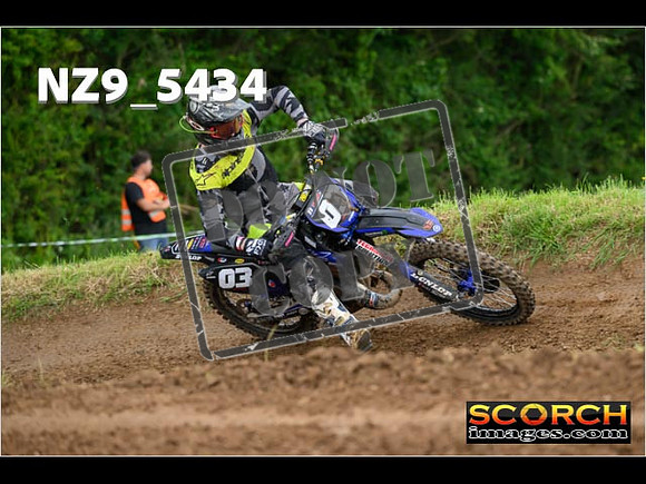 Experts-365