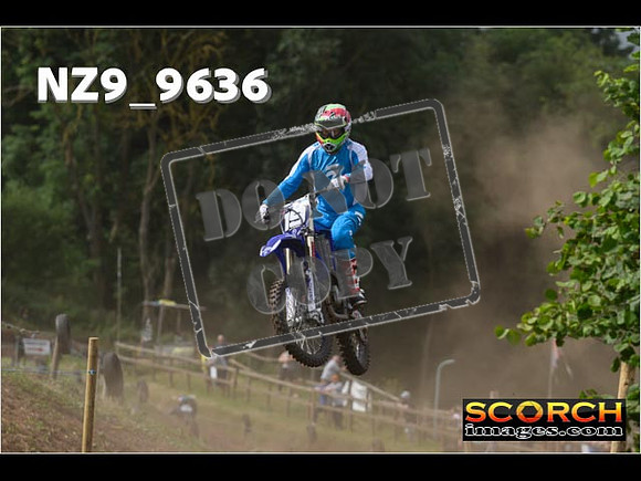 Experts-036
