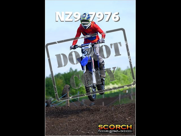 InterGreen-032