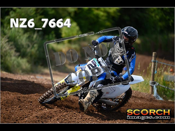 Experts-045