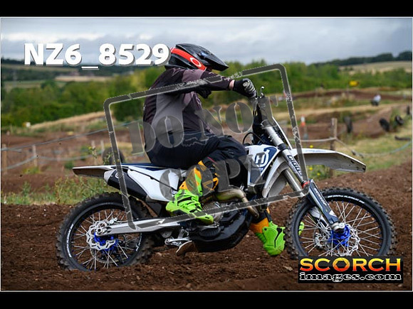 InterGreen-111
