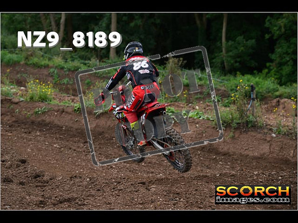 Experts-126