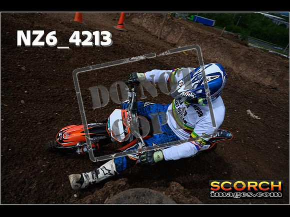 Orange Group-052