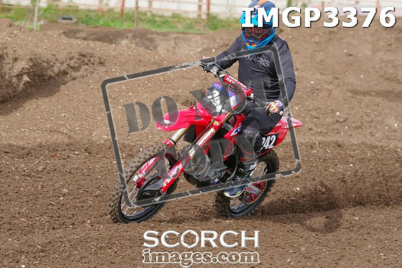 IMGP3376