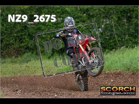 Experts-121