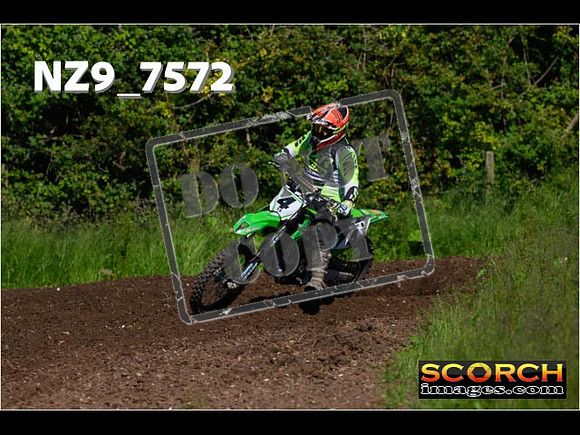 Inters Green Orange-098