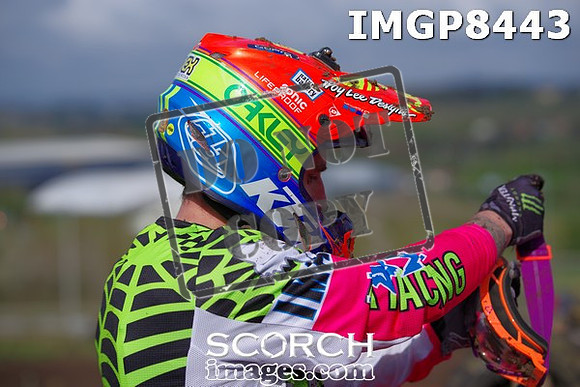 IMGP8443