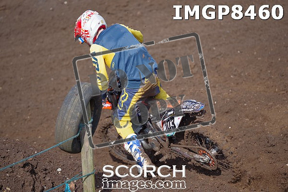 IMGP8460