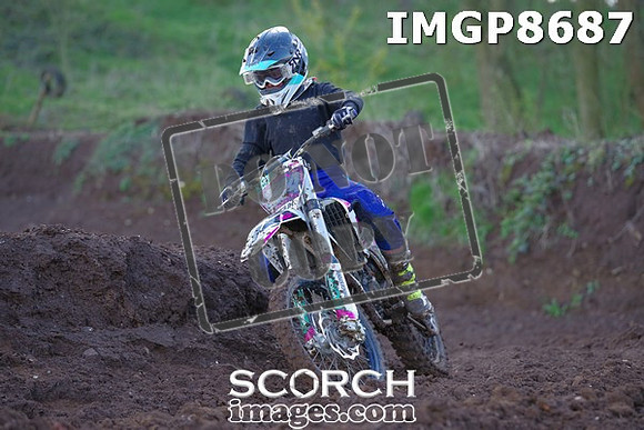 IMGP8687