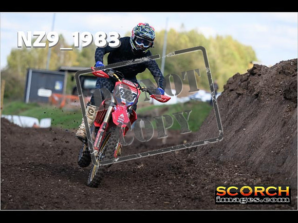 Experts-326