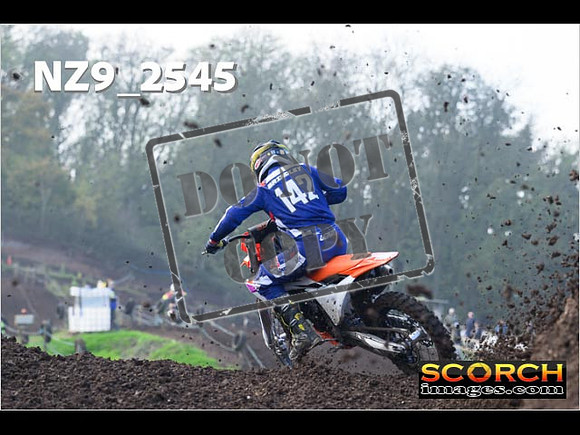 Experts-131