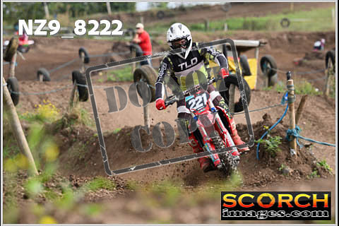 Experts-023