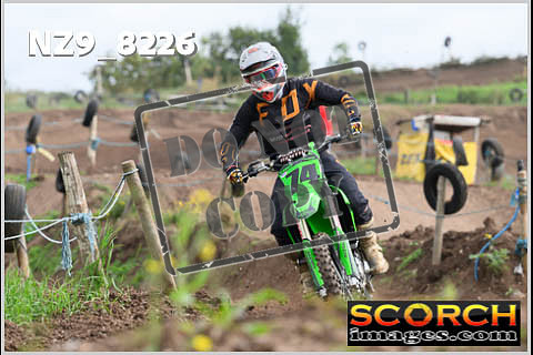 Experts-027