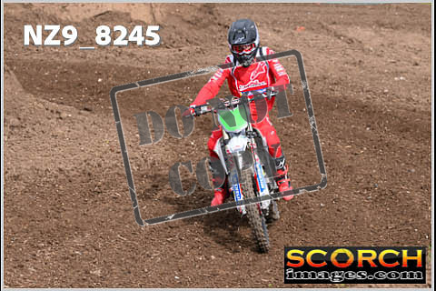 Experts-046
