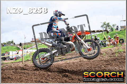 Experts-059