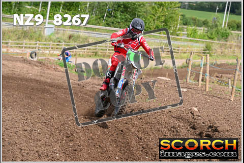 Experts-068