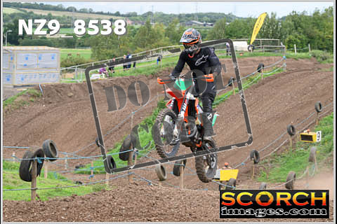 Experts-081