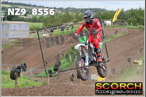 Experts-099