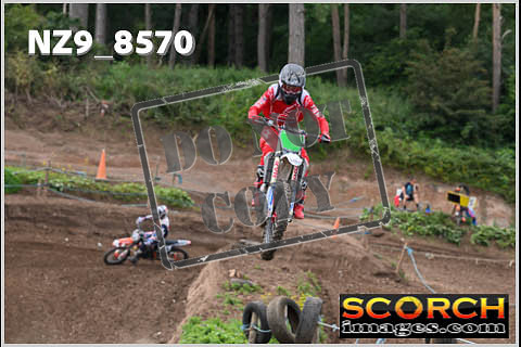 Experts-113