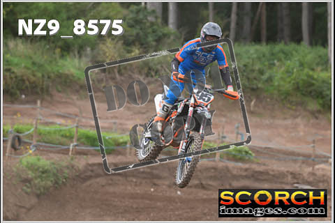 Experts-118
